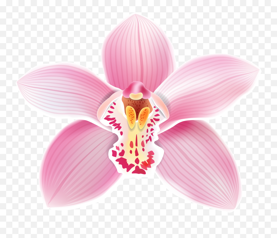 Pink Orchid Png Clipart - Best Web Clipa 1576078 Png Emoji,Pink Clipart