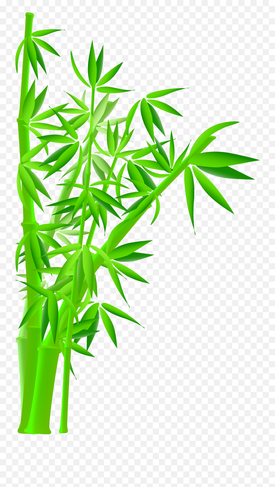 Download Hd Green Bamboo Png Graphic Black And White - Bamboo Free Emoji,Bamboo Png