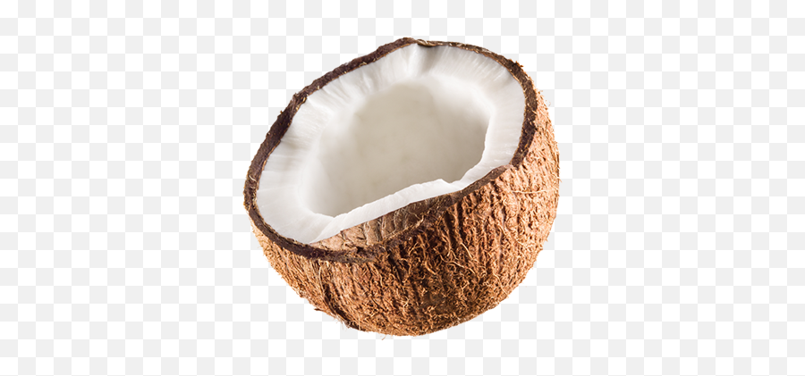 Download Hd Jax Coco - Coconut With Leaves Png Emoji,Coconut Png