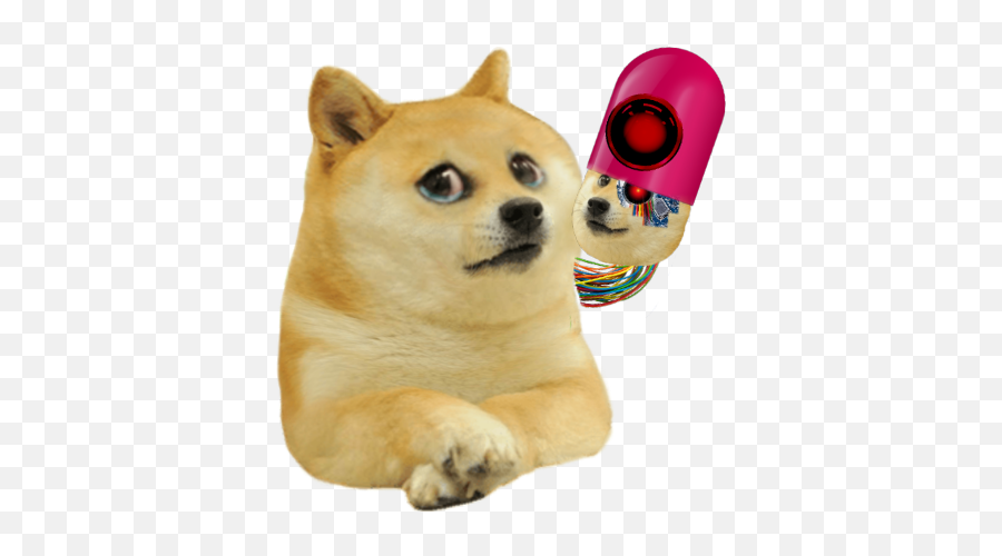 Infected Kid Doge Pngu0027s - Album On Imgur Cheems Doge Png Emoji,Doge Transparent Background