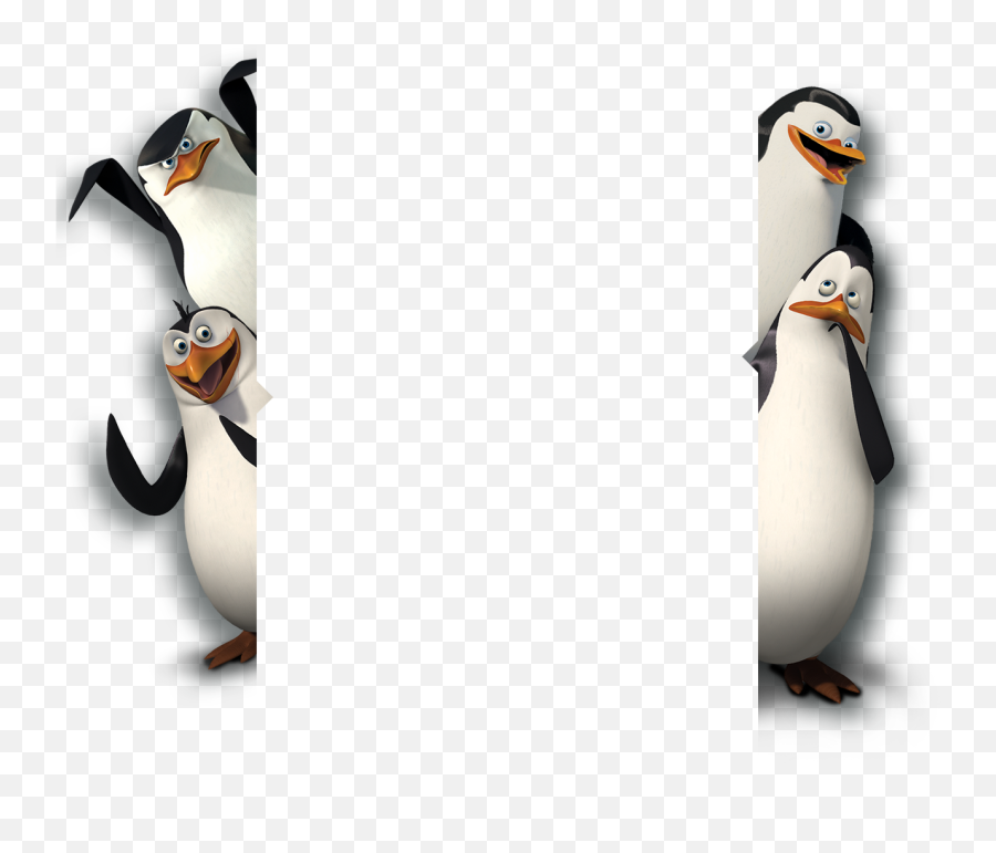 King Penguin Clipart Madagascar Name - Penguins Madagascar Emoji,Clipart Penquin