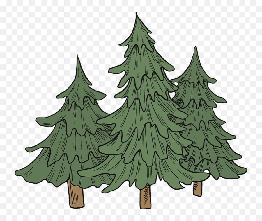 Evergreen Trees Clipart - Evergreen Trees Clipart Emoji,Evergreen Png