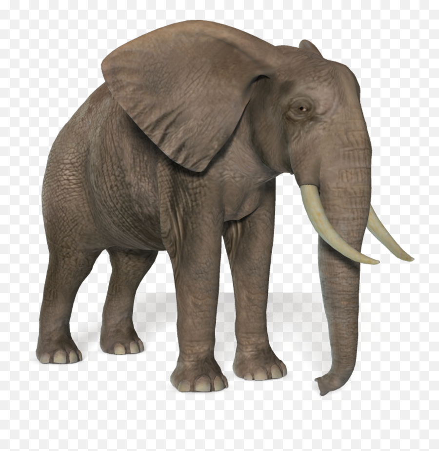 Elephant Png - African Elephant Transparent Background Emoji,Elephant Png