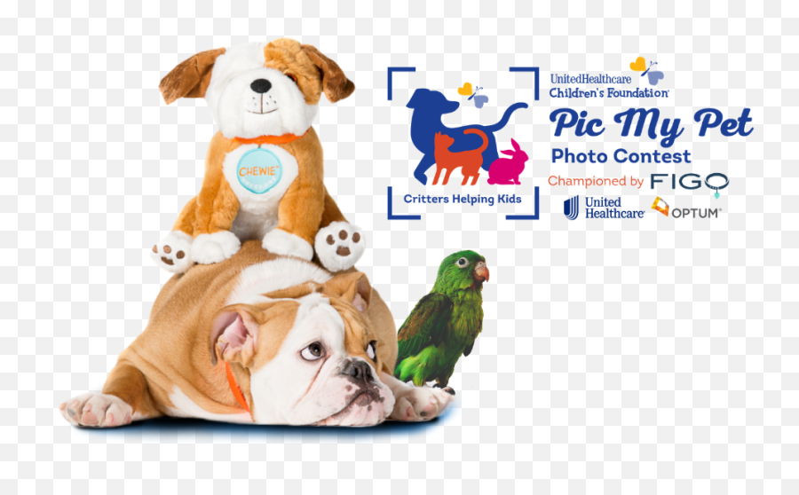 Home Page Banner Pic My Pet Photo Contest - Unitedhealthcare Emoji,United Healthcare Logo Png