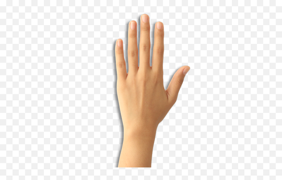 Flat Hand Png - Flat Hand Png Emoji,Hand Png