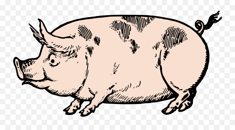 Pigs Clipart Swine Pigs Swine - Vector Vintage Pig Emoji,Pig Clipart