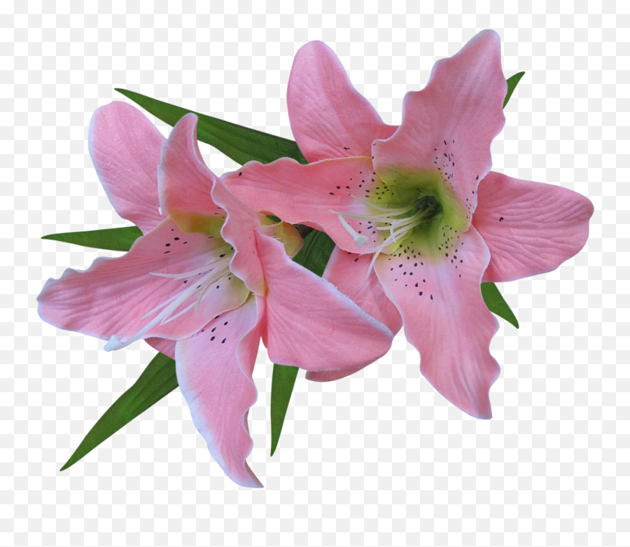 Flower Easter Lily Clip Art - Transparent Background Easter Lily Png Emoji,Easter Lily Clipart