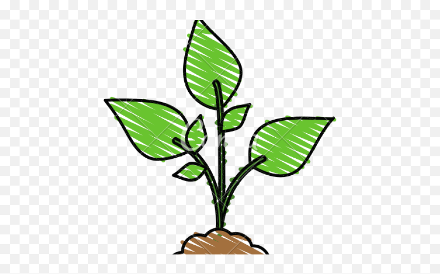 Cartoon Plant Clipart - Full Size Clipart 2874321 Vertical Emoji,Plant Clipart
