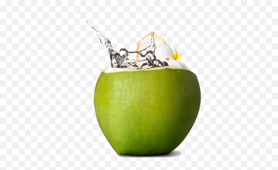 Fresh Green Coconut Png Download Image Emoji,Coconut Png