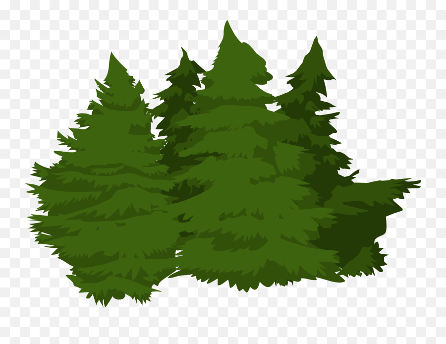Trees Woods Pines Greenery Png - Woods Png Emoji,Greenery Png