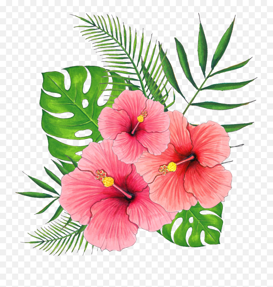 Hawaiian Flower Png - Hand Painted Summer Hibiscus Flower Transparent Hawaii Flower Png Emoji,Flower Png Transparent