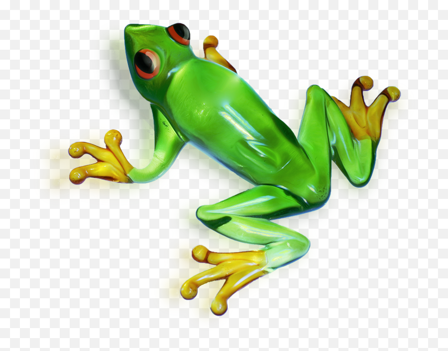 Tree Frog Png - Frog Png Images True Frog 615376 Vippng Frogs Emoji,Frog Png
