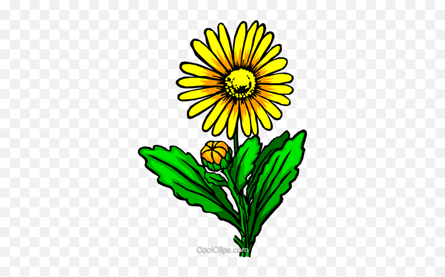 Yellow Flower Royalty Free Vector Clip Art Illustration Emoji,Yellow Daisy Clipart