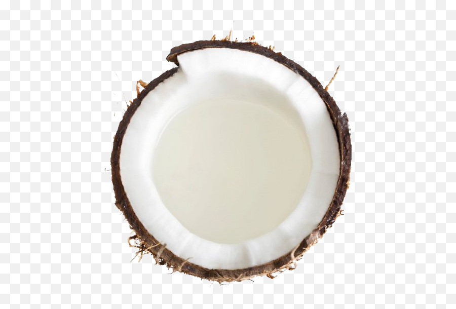 Grated Coconut Png Transparent Images - Coconut Emoji,Coconut Png