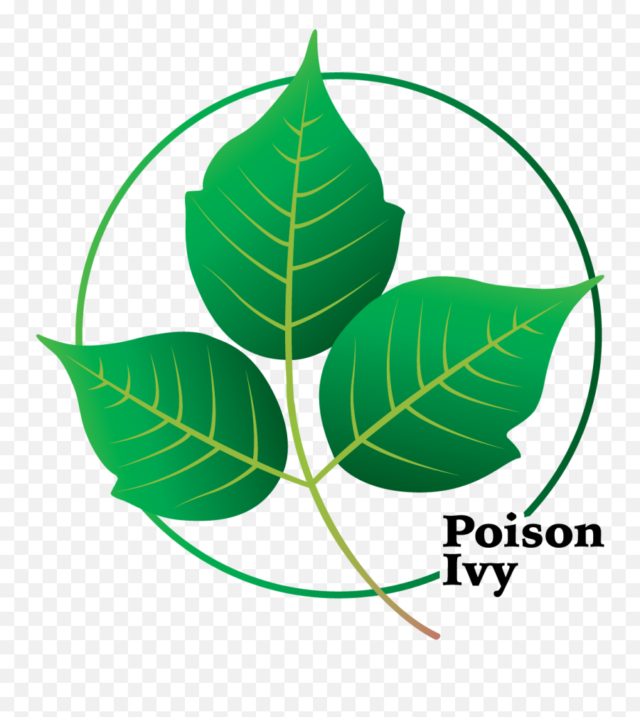 Poison Ivy Info Aitex Llc - Poison Ivy Clipart Emoji,Poison Logo