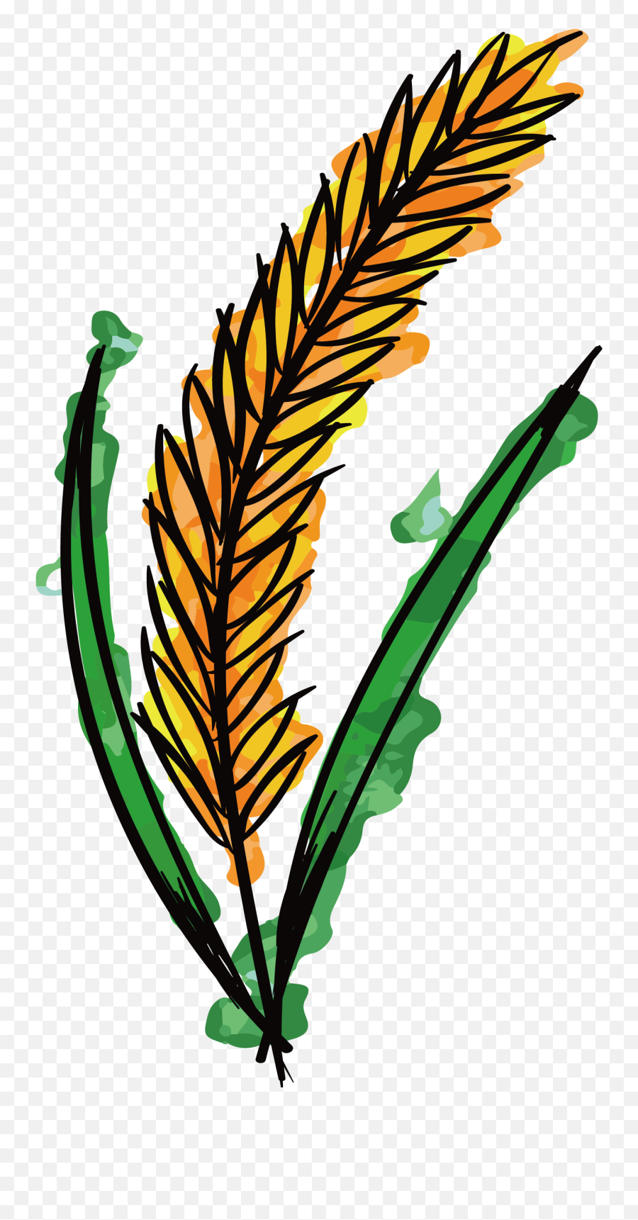 Vector Wheat Watercolor - Wheat Watercolor Png Clipart Painting Nature Art Clipart Emoji,Watercolor Png