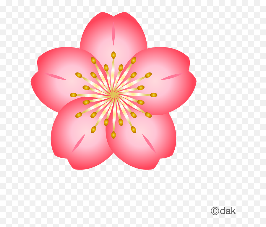 Free Flower Material - Design Clipart Flower Png Emoji,Design Png