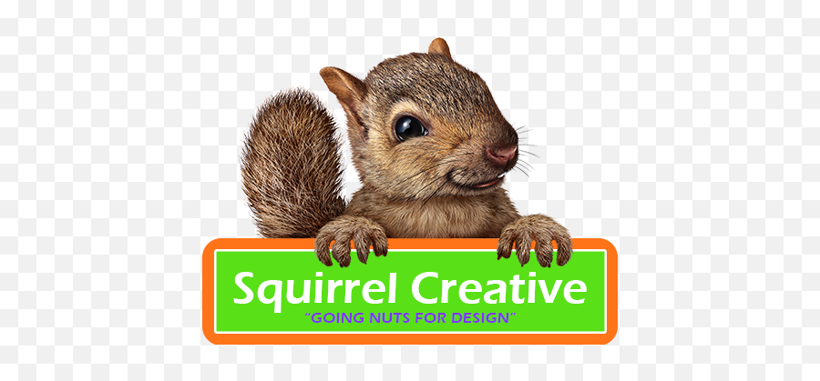 Squirrel Creative Branding And Design Needs Going Nuts For Emoji,Squirrel Logo