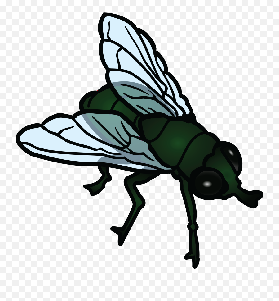 1130832 Fly Clipart Winged Insect - Clip Art Fly Emoji,Fly Clipart