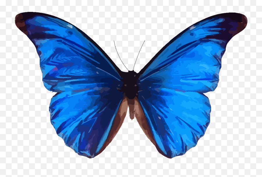 Pics Of Blue Butterflies - Clipart Best Emoji,Butterfly Clipart Transparent