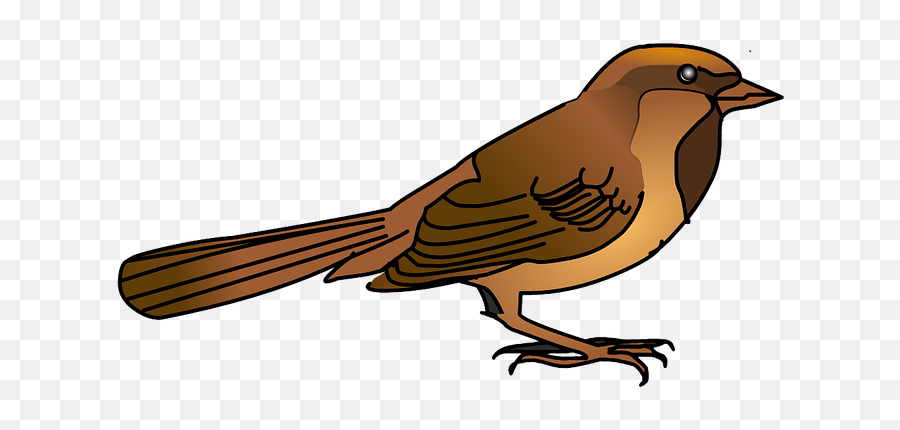 Sparrowbirdnaturewildlifeanimal - Free Image From Emoji,Sparrow Clipart