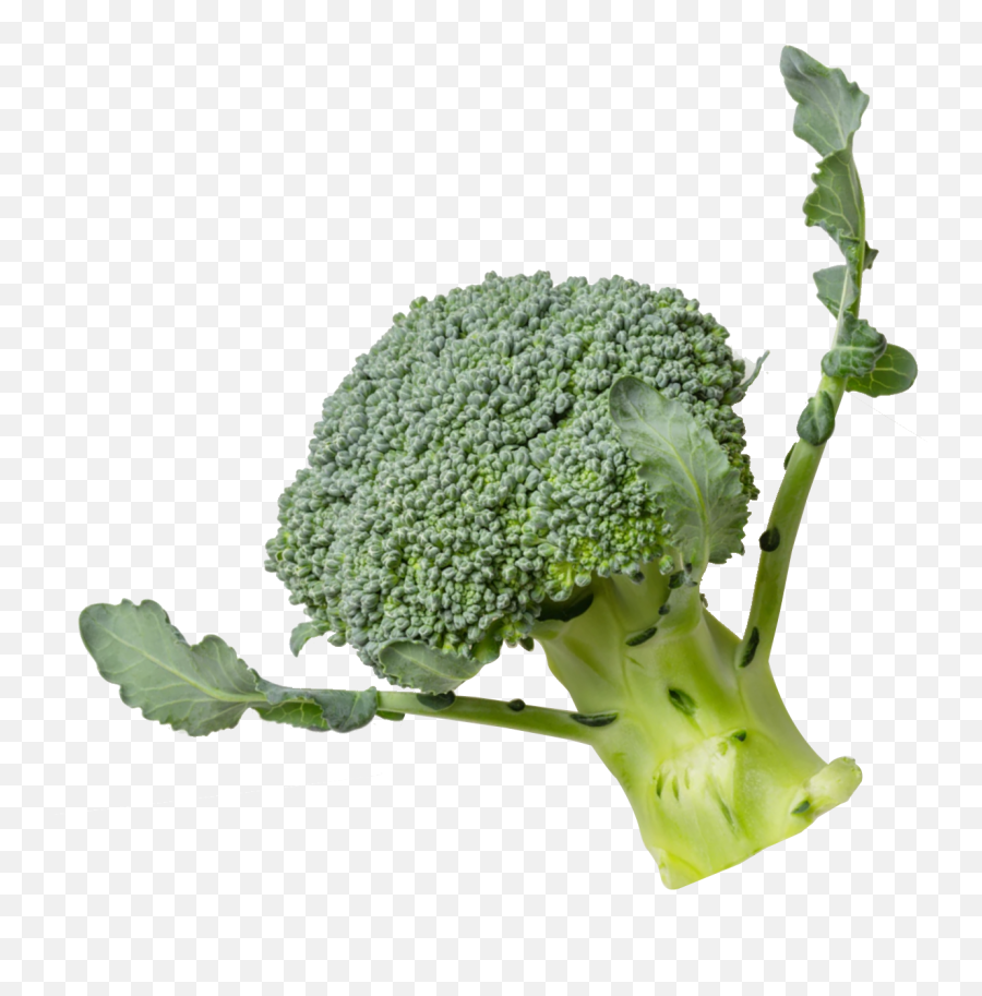 Menus Emoji,Broccoli Transparent Background