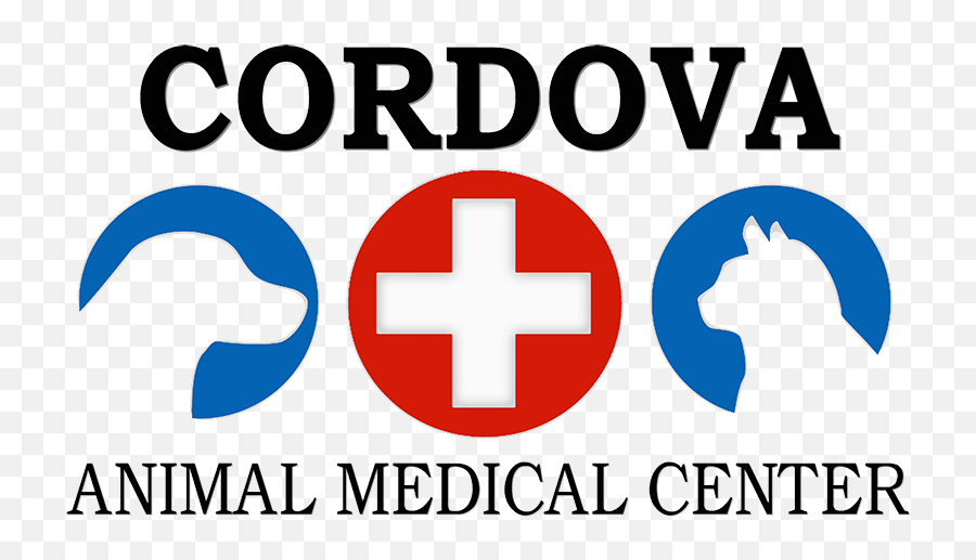 Veterinarian In Pensacola Fl Cordova Animal Medical Center Emoji,Red Circle With Slash Png