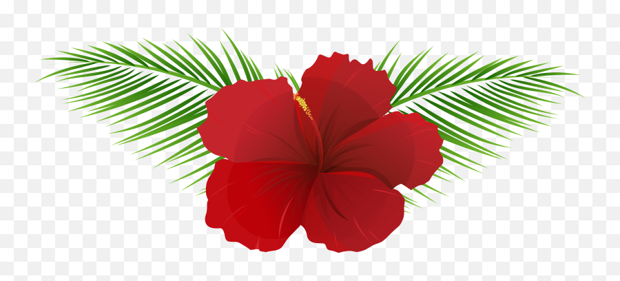 Transparent Hawaiian Flowers Png - Transparent Background Tropical Flower Png Emoji,Flower Transparent