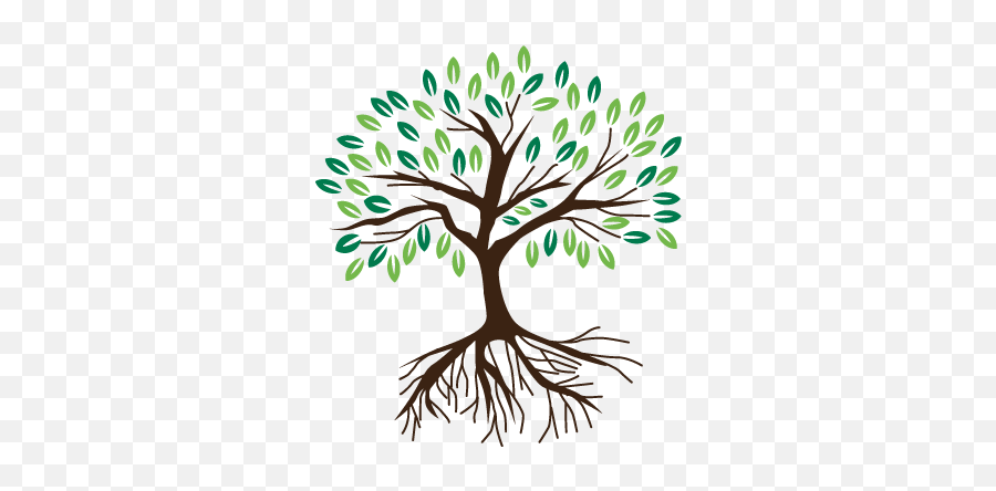 Transparent Tree With Roots Graphic - Vector Emoji,Transparent Tree Roots