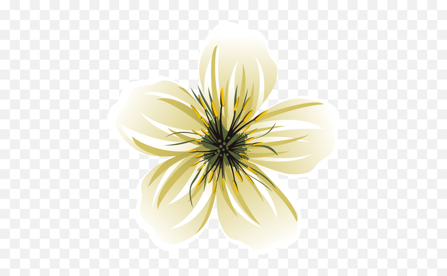White Flower Cartoon Emoji,White Flowers Transparent Background