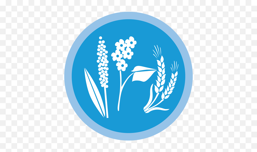 Wheat Icon New Emoji,Wheat Icon Png