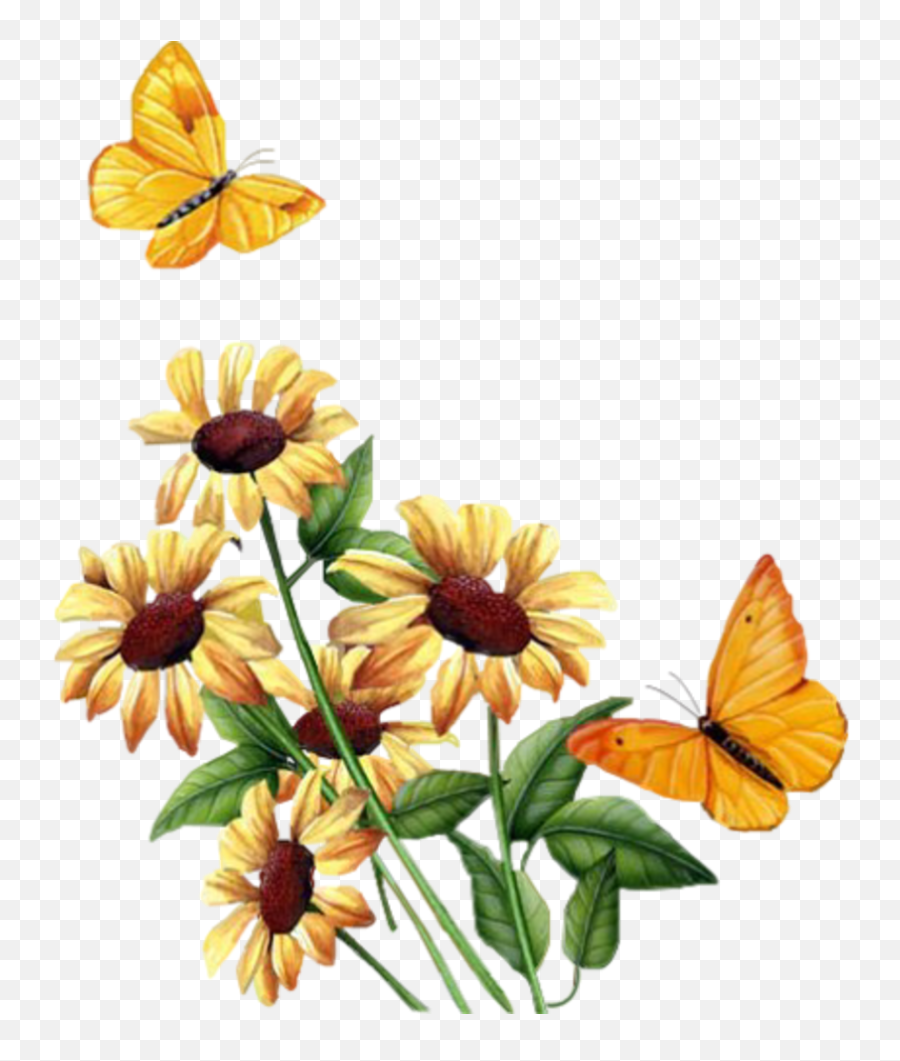Gif Animation Butterfly Gif Png Clipart - Full Size Clipart Emoji,Butterfly Gif Transparent