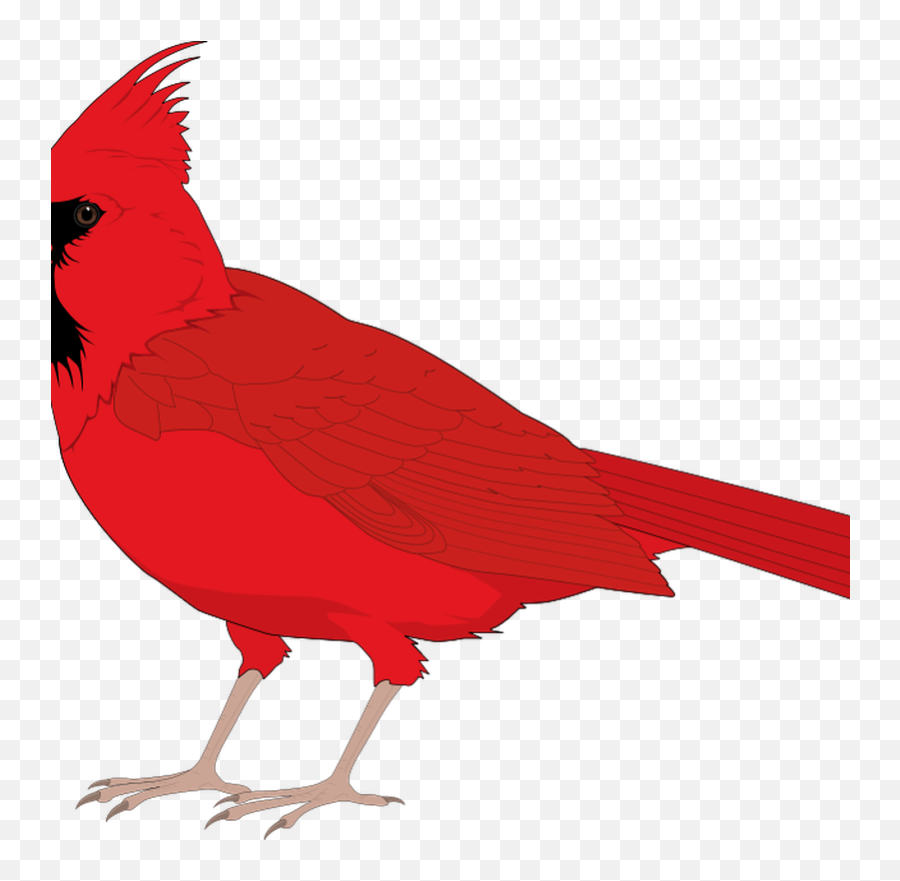 Cute Flying Sitting Free Birds Design Clip - Clip Art Red Emoji,Sparrow Clipart
