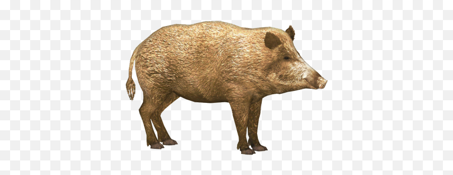 Png Images Boar 13png Snipstock Emoji,Pig Transparent Background