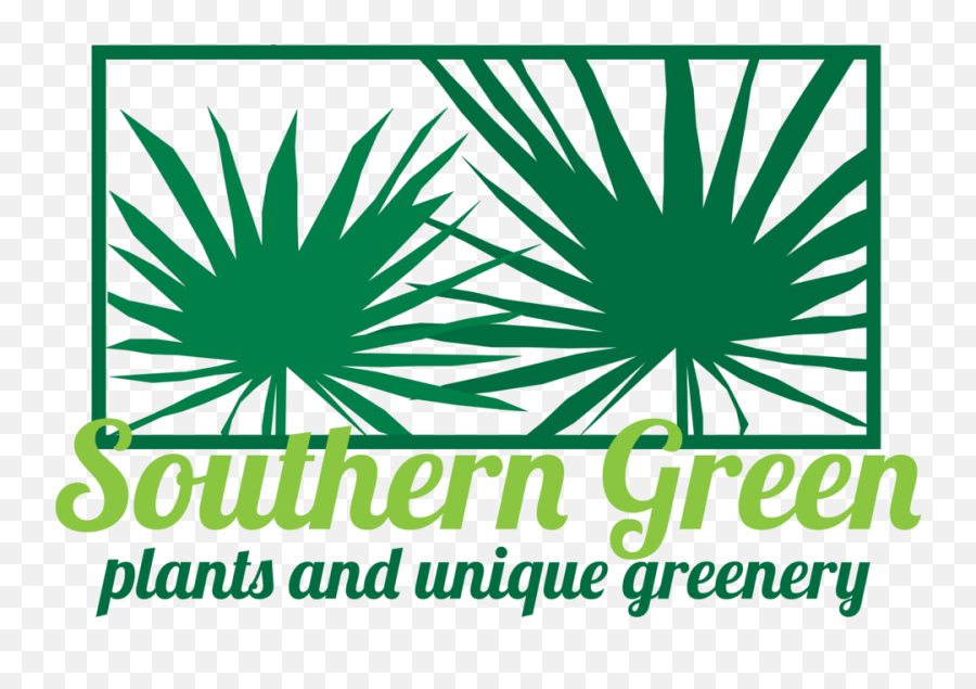Southern Green Emoji,Greenery Png