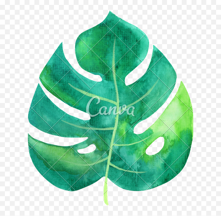 Download Tropical Leaves Watercolor Png Image Library - Watercolor Hawaiian Leaves Png Emoji,Tropical Leaf Png