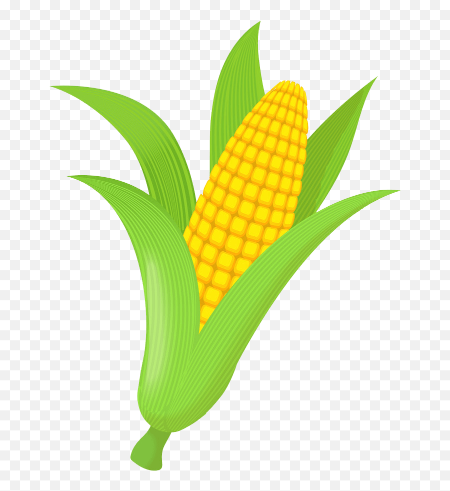Icon Corn Clipart Transparent - Clipart World Corn Cartoon White Background Emoji,Corn Clipart