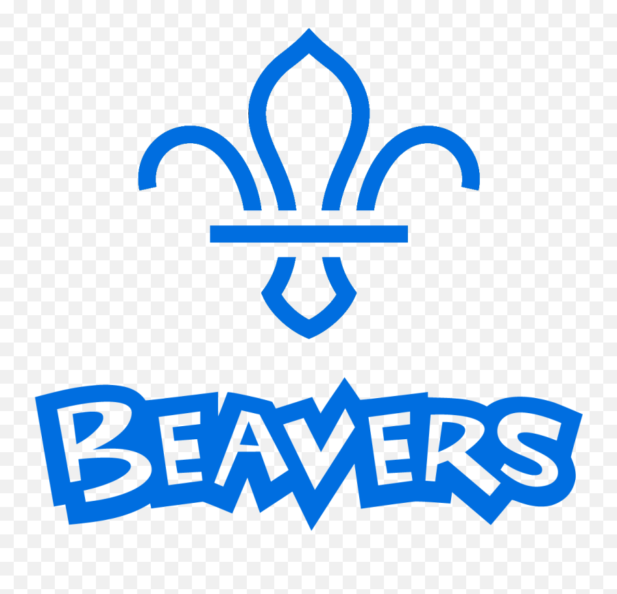 Willerby Scout Cubs Beavers And - Beaver Scout Emoji,Beaver Logo