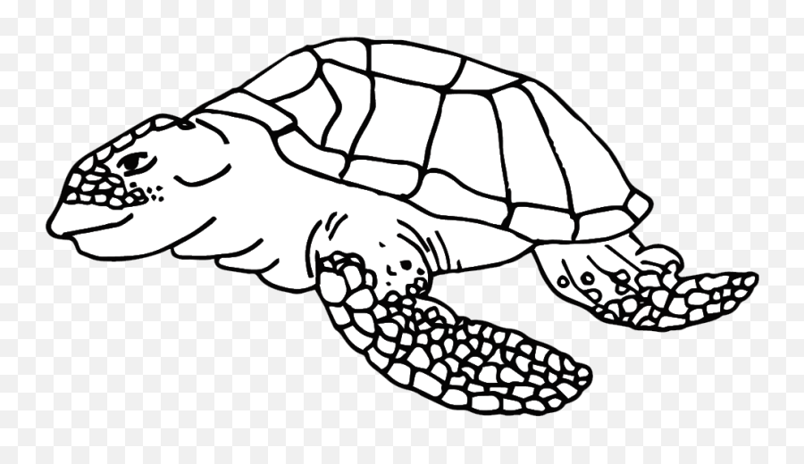Life Cycle Of A Sea Turtle Clipart - Tortoise Emoji,Sea Turtle Clipart
