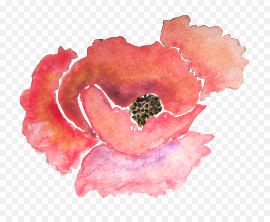 Download Hd Coral Watercolor Png Clipart Black And White Emoji,Poppy Png