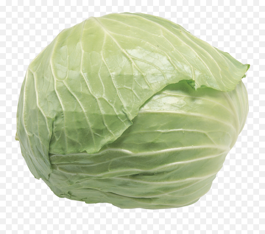 Cabbage Png Image Emoji,Kimchi Clipart