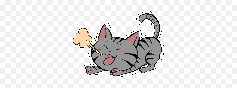 Cute Cat Sticker - Cute Cat Kitty Discover U0026 Share Gifs Emoji,Cute Cat Transparent