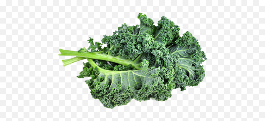 Kale Transparent Png Png Mart Emoji,Broccoli Transparent Background