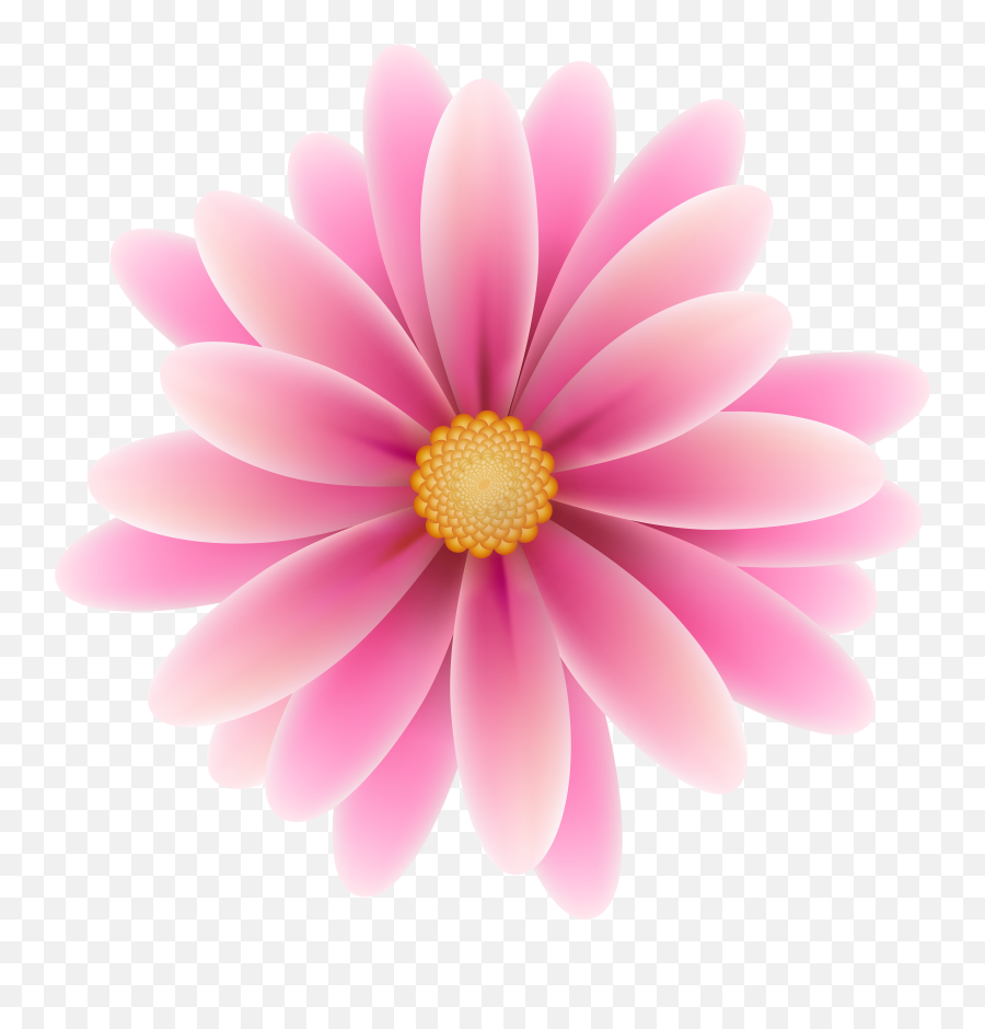 Library Of Pink Clip Art Stock Flowers Png Files - Pink Colour Flowers Png Emoji,Pink Clipart