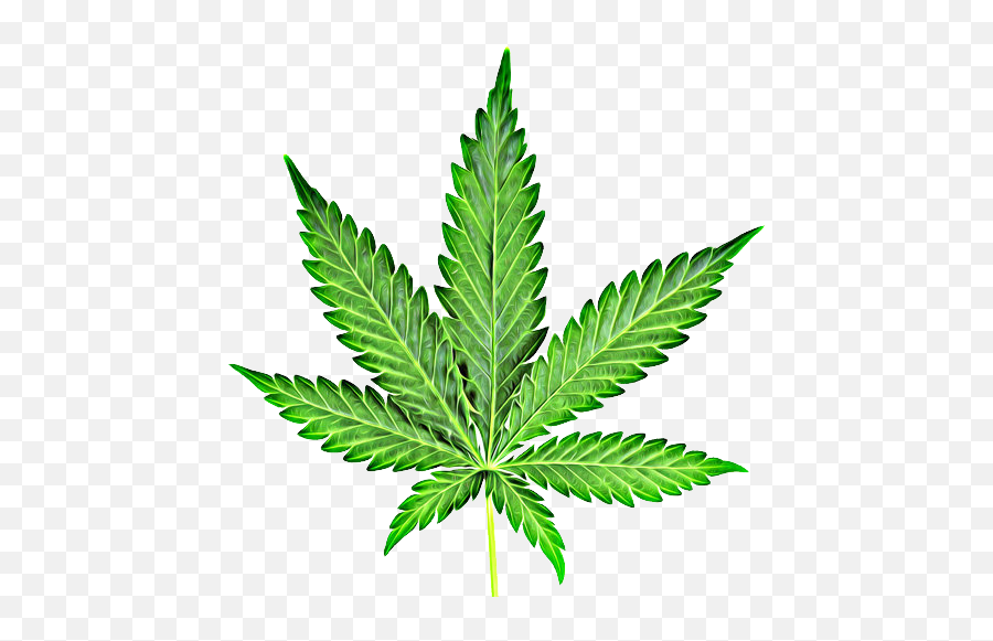 Cannabis Marijuana Leaf Clipart Png - Marijuana Leaf Emoji,Marijuana Leaf Clipart