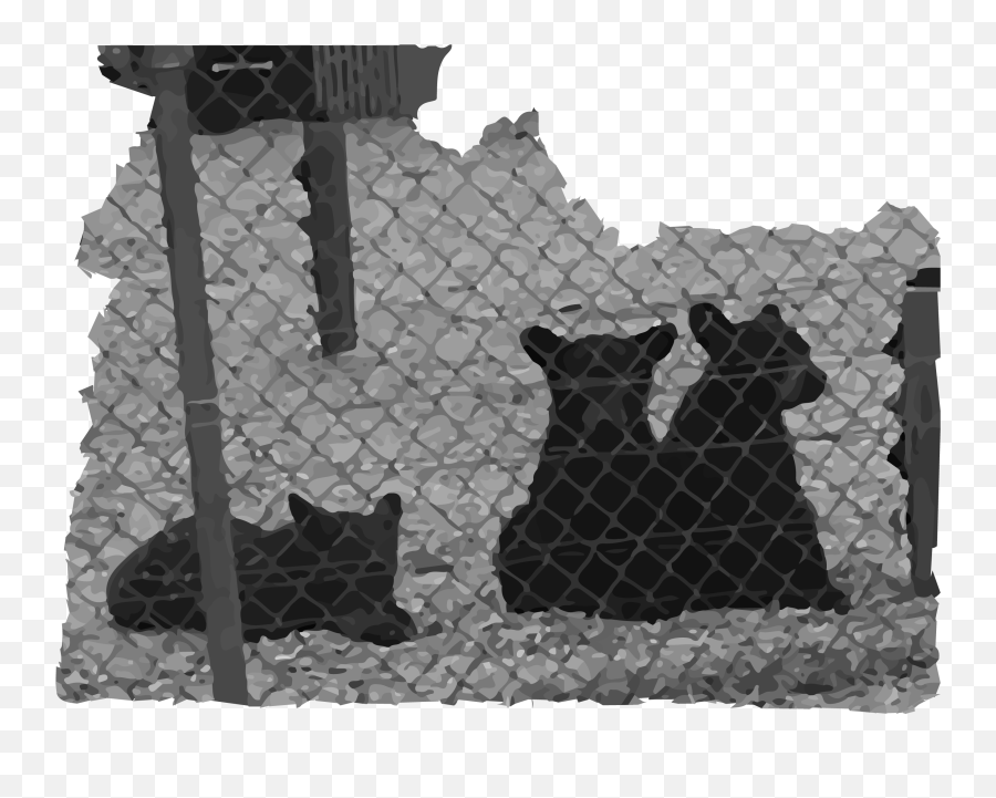 Yellowstone Bear World Idahou0027s 1 Bear Cub Mill - Scholarday Dog Emoji,Cubs Bear Logo