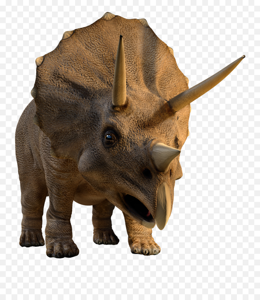 Download Facts About Triceratops - Triceratops Png Emoji,Triceratops Png