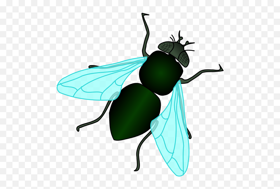 Animated Fly Clipart - House Fly Clipart Emoji,Fly Clipart