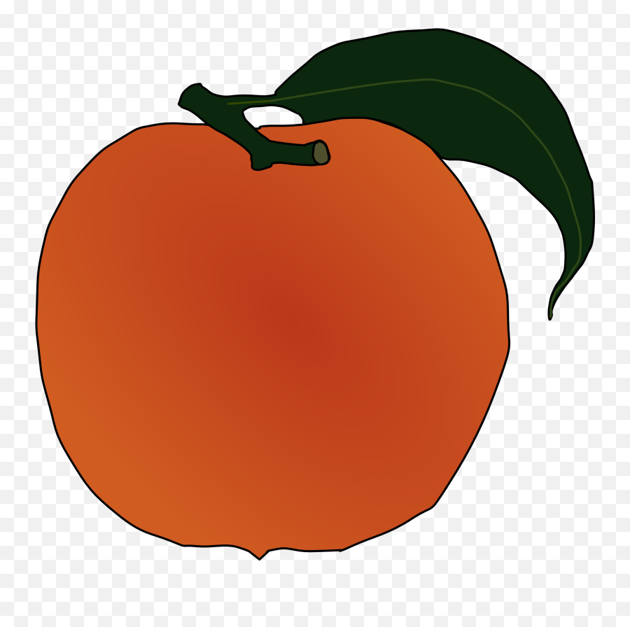 Ripe Juicy Fresh Organic Orange Peach - Polk Bros Park Emoji,Peach Clipart
