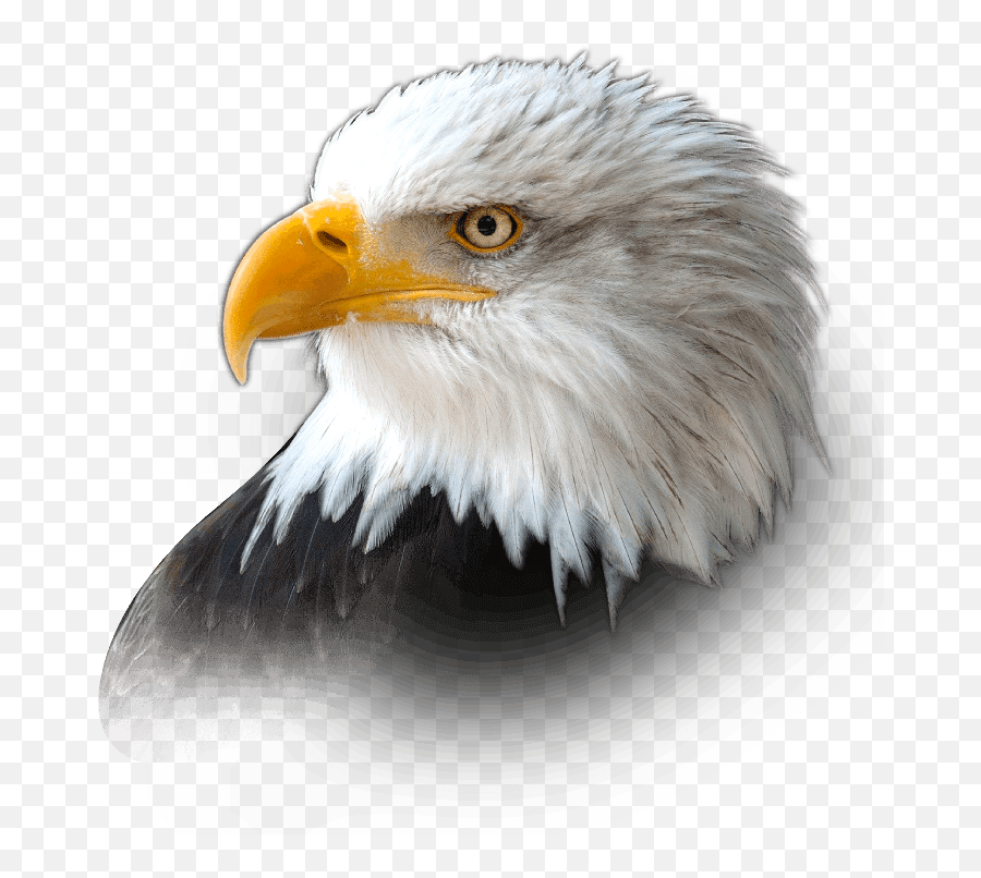 Obituary Charles W Brooks Of Berkeley Missouri Shepard Emoji,Eagle Transparent Background